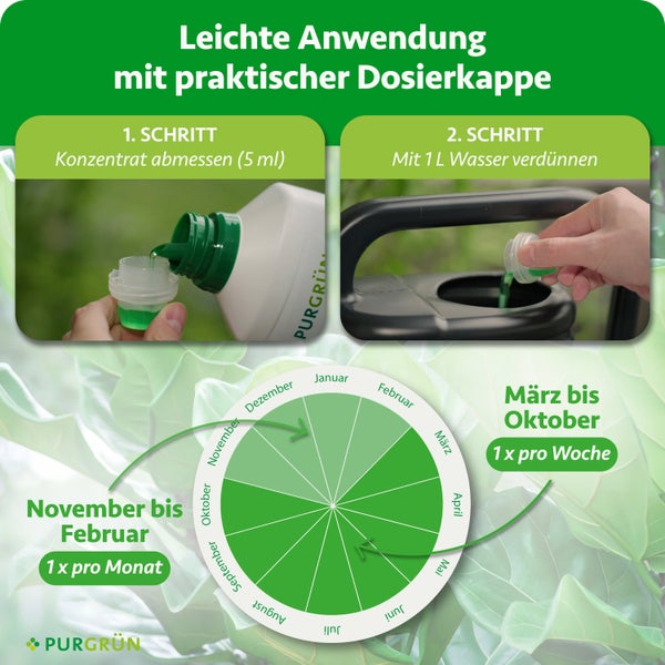 Anwendung: 5 Milliliter abmessen, mit 1 Liter Wasser mischen. März bis Oktober wöchentlich, November bis Februar monatlich. Purgrün Logo.