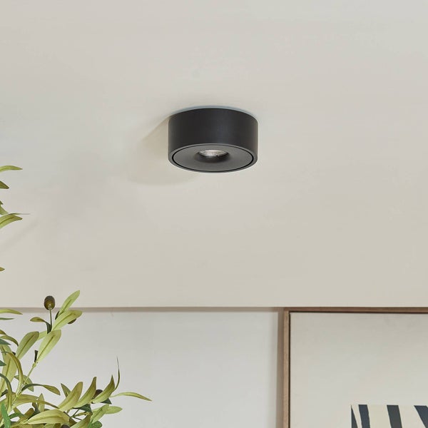 Moderner schwarzer Aufbauspot an der Decke montiert, über einer Zimmerpflanze und einem gerahmten Bild.