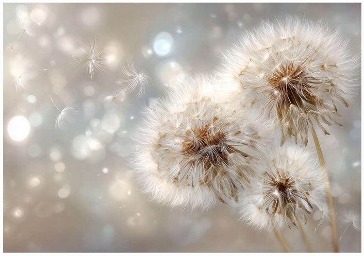 Nahaufnahme von Pusteblumen mit fliegenden Samen