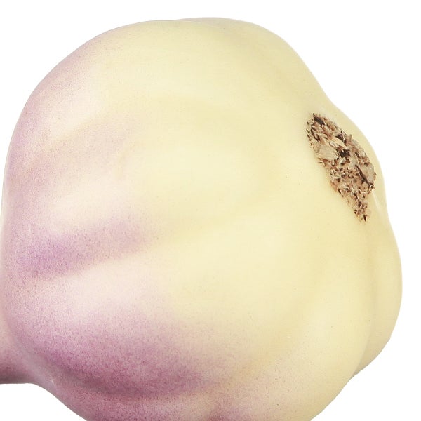 Knoblauchknolle im Detail