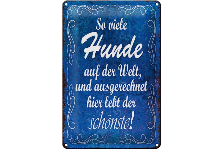 Blechschild Spruch 20x30cm so viele Hunde auf der Welt