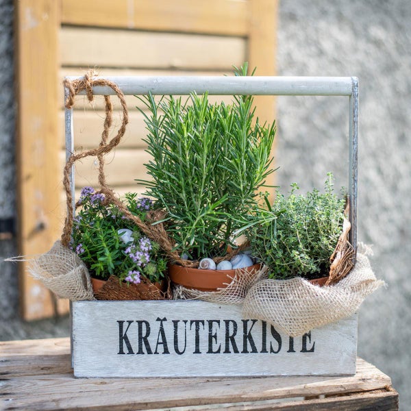 Kräuterkiste mit verschiedenen Kräutern in Töpfen auf einem Holztisch.