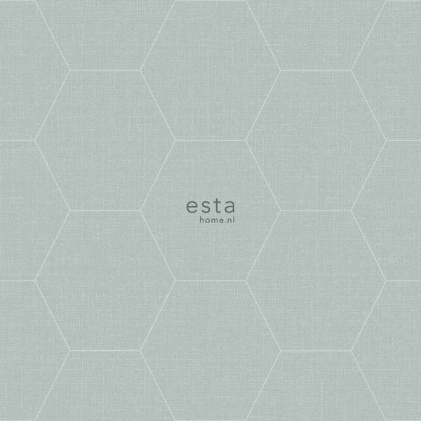 Tapete mit geometrischem Hexagonmuster