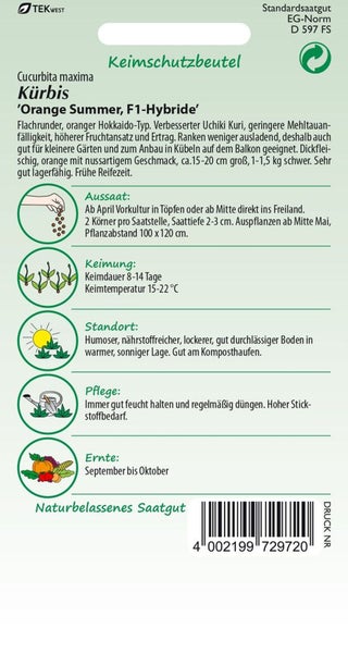 Kürbis Orange Summer F1 Hybride Saatgutpackung