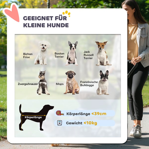 PawHut Hundewagen Jogger Hundebuggy klappbar für kleine Hunde & Katzen bis 10 kg Katzenbuggy mit 3 große Gummiräder, Kissen Netzfenstern Aufbewahrungskorb Katzenwagen mit Sicherheitsleinen, Türkis