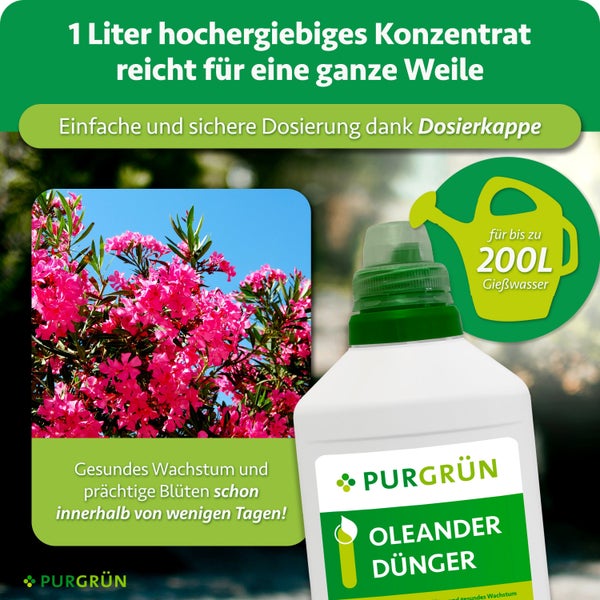 Purgrün Oleanderdünger in einer 1 Liter Flasche mit Dosierkappe für bis zu 200 Liter Gießwasser für kräftiges Wachstum und reiche Blütenbildung.