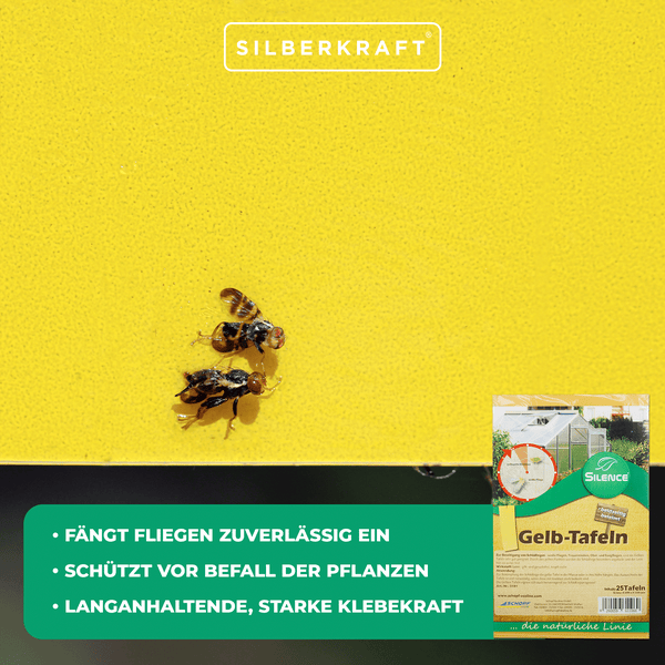 Silence Gelbtafeln (groß) – Effektive Schädlingskontrolle für Innenräume, Gewächshaus & Garten – Gegen Trauermücken, Weiße Fliegen & Blattläuse – Ohne Insektizide