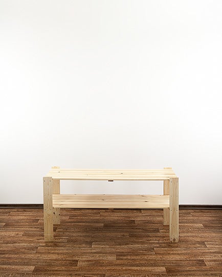 Roter Weihnachtsstern zur Dekoration