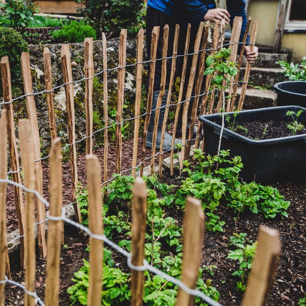 5m Staketenzaun 100cm hoch Lattenabstand 4-6cm Gartenzaun Kastanienzaun aus Haselnuss Holzzaun