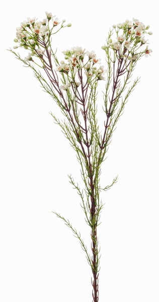 Künstlicher Allium-Zweig mit grünem Blütenkopf, violetten Akzenten und langem Stiel.
