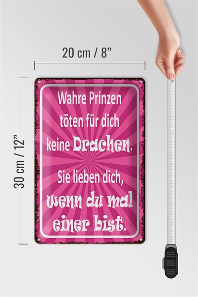 Blechschild Spruch 20x30cm wahre Prinzen töten keine