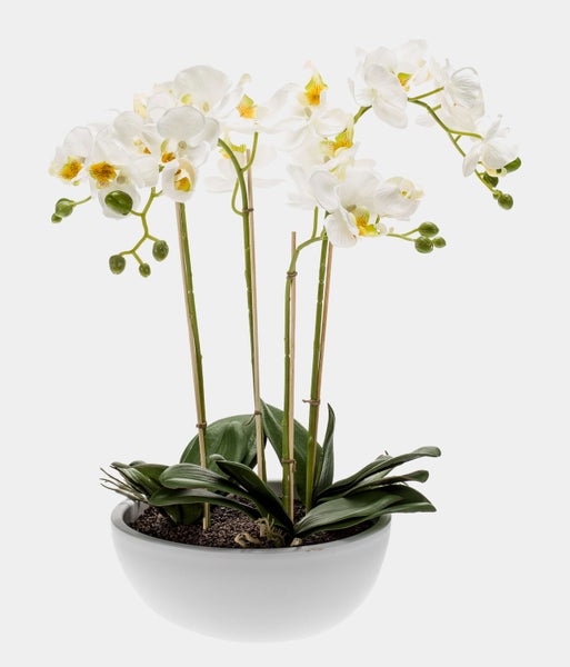 Künstliche Phalaenopsis Orchidee in Weiß mit grünen Knospen.