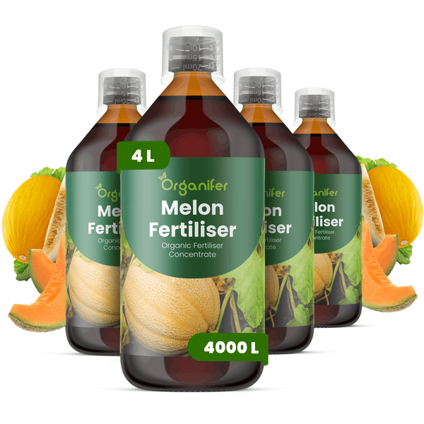 Organifer Melonendünger, vier Flaschen organisches Düngerkonzentrat für Melonen, mit Messkappen und Melonenabbildungen.