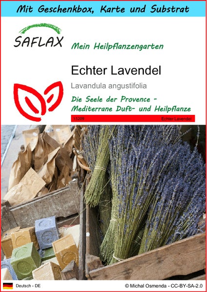 SAFLAX Geschenk Set - Echter Lavendel - Lavandula angustifolia - 150 Samen - Mit Geschenkbox, Versandaufkleber, Geschenkkarte und Anzuchtsubstrat