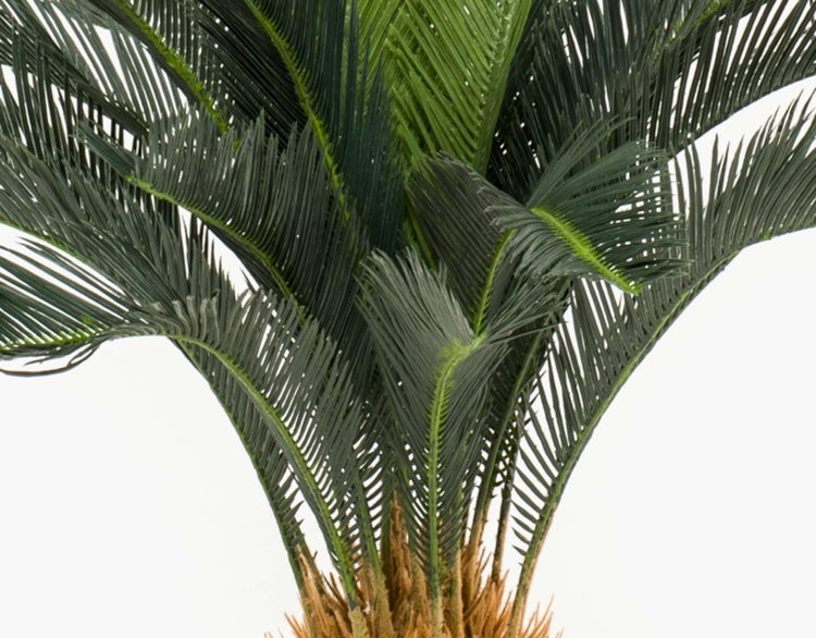 Künstliche Cycas-Palme mit grünen Wedeln und braunem Stamm.