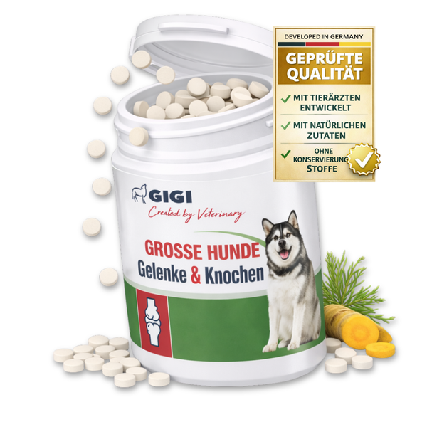 GIGI Logo auf einer Dose Tabletten für Gelenke und Knochen großer Hunde, mit Husky Abbildung und Siegel für geprüfte Qualität.