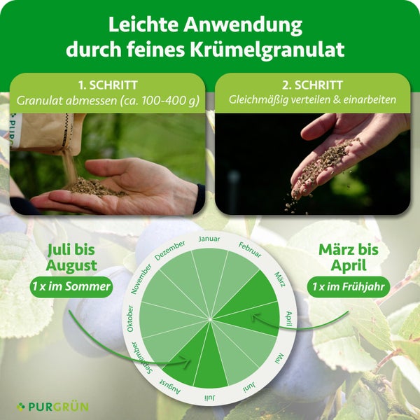 Purgrün Krümelgranulat abmessen circa 100 bis 400 Gramm und gleichmäßig verteilen. Anwendung im März bis April und Juli bis August. Purgrün Logo.