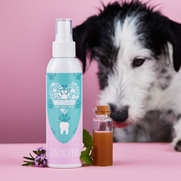 Tierliebhaber Dentalspray für Hunde mit Vergleich.org Auszeichnung und Start my Business Awards Winner 2022