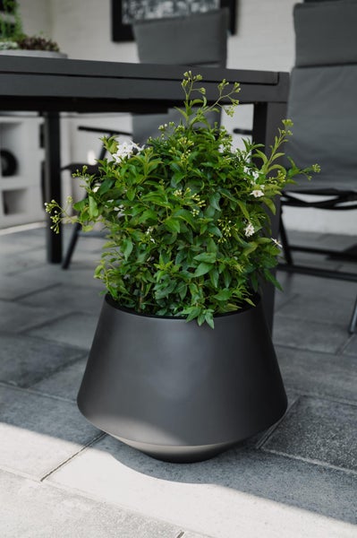 Moderner mattschwarzer Pflanzkübel mit einer grünen Pflanze und kleinen weißen Blüten auf einer gepflasterten Terrasse.