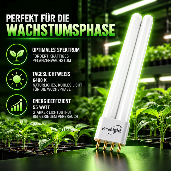 PureLight Energiesparlampe mit 55 Watt, Tageslichtweiss 6400 Kelvin für das Pflanzenwachstum in einer Anzuchtumgebung.