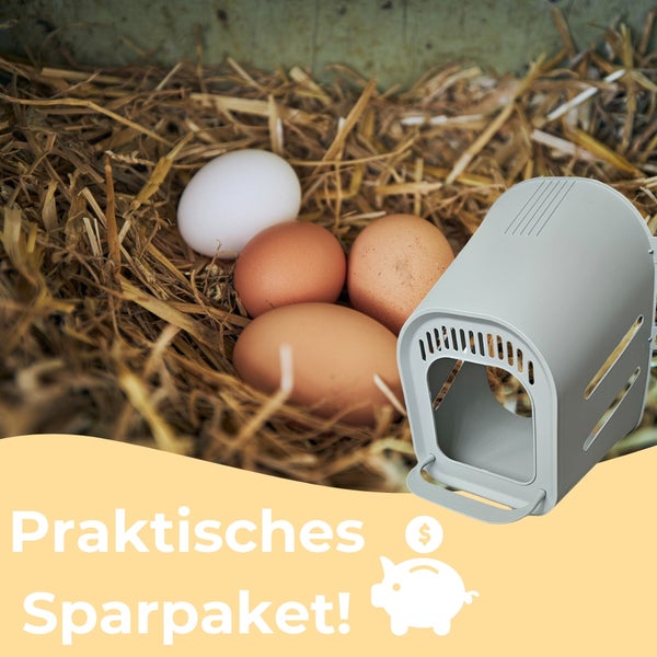 Hühnereiablage aus Kunststoff neben Hühnereiern im Heu