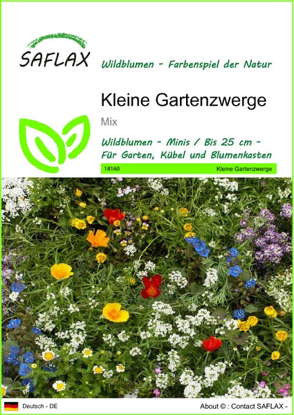 SAFLAX  - Kleine Gartenzwerge - Mix - 1000 Samen