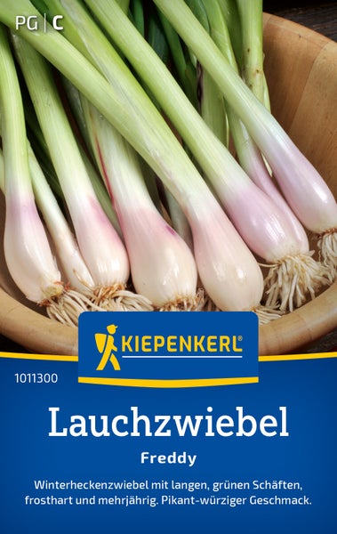 Saatgut Lauchzwiebel Freddy von Kiepenkerl, eine winterharte, mehrjährige Lauchzwiebel mit langen grünen Schäften für den Anbau im Garten.
