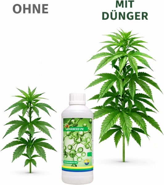 Vergleich des Pflanzenwachstums ohne und mit Advanced PK Dünger. Flasche Advanced PK zwischen einer kleinen Pflanze ohne und einer großen mit Dünger.