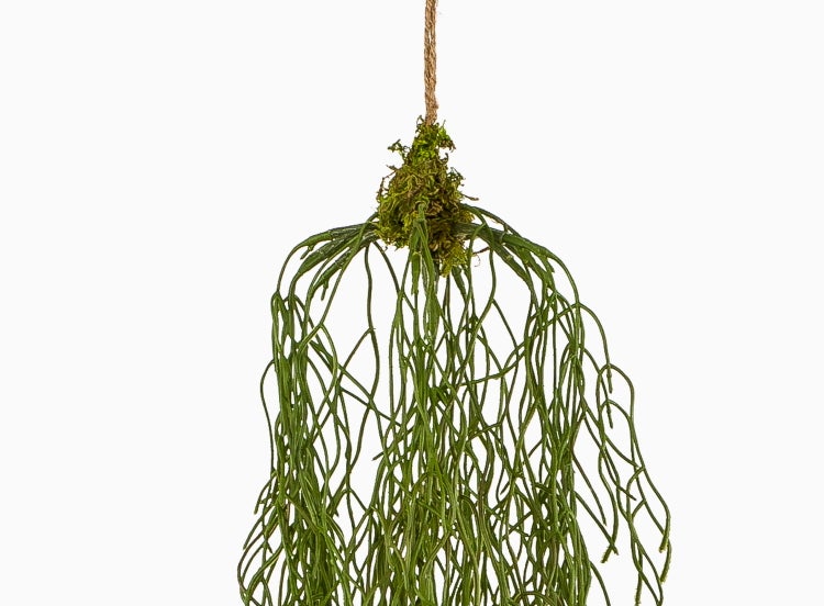 Künstliche Hängepflanze Rhipsalis mit grünem Moos und Aufhängung aus Juteseil.