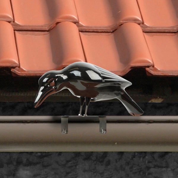 Schwarzer Kunststoff-Rabe zur Vogelabwehr, montiert an einer Dachrinne vor einem Ziegeldach.