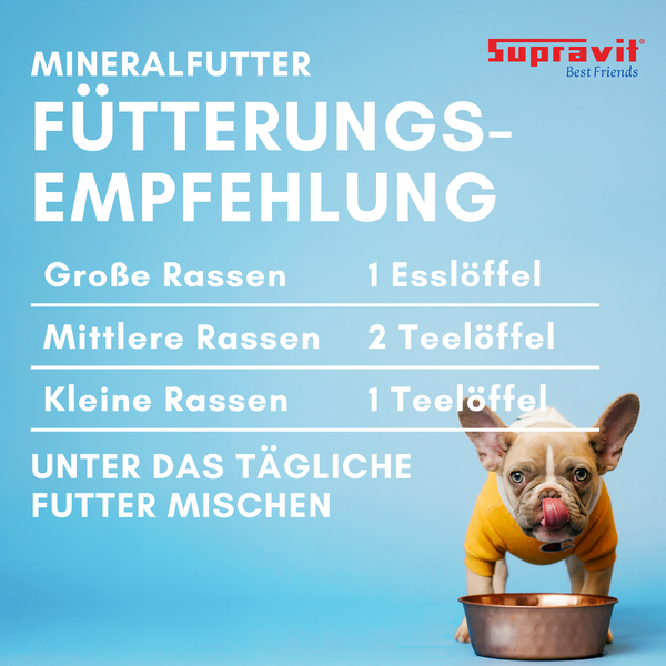 Infografik zur Mineralfutter Fütterungsempfehlung von Supravit für große, mittlere und kleine Hunderassen mit Bild eines Hundes und Futternapf.