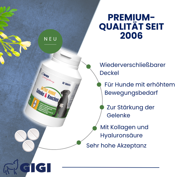 GiGi Aktive Hunde Gelenke und Knochen Tabletten für Hunde mit erhöhtem Bewegungsbedarf in einer Dose mit wiederverschließbarem Deckel