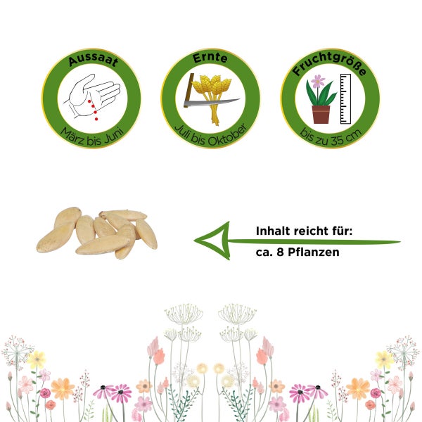 Salatgurke Tanja Samen von Deine Gartenwelt