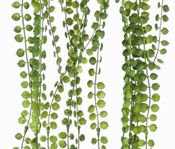 Künstliche Hängepflanze in Grün mit kleinen runden Blättern aus Kunststoff.