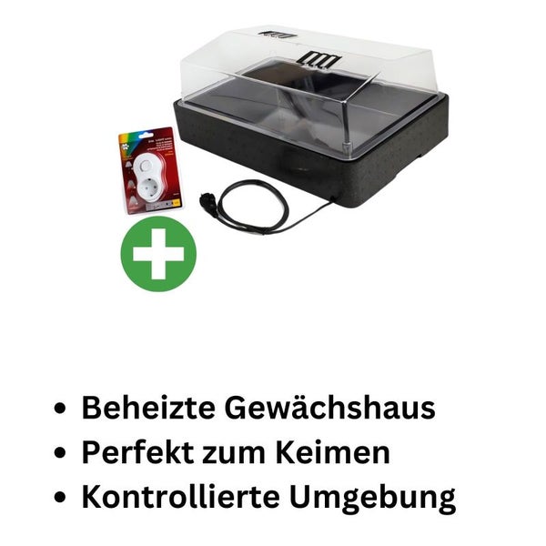 Beheiztes Mini-Gewächshaus 57x38x22 cm – Temperaturkontrolle, Schnelles Keimen & Gesunde Pflanzen für Balkon & Fensterbank