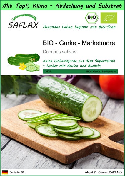 SAFLAX Garden to go - BIO - Gurke - Marketmore - Cucumis sativus - 20 Samen - Mit Topf, Klima - Deckel und Anzuchtsubstrat
