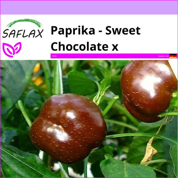 SAFLAX  - Paprika - Sweet Chocolate x - Capsicum annum - 10 Samen