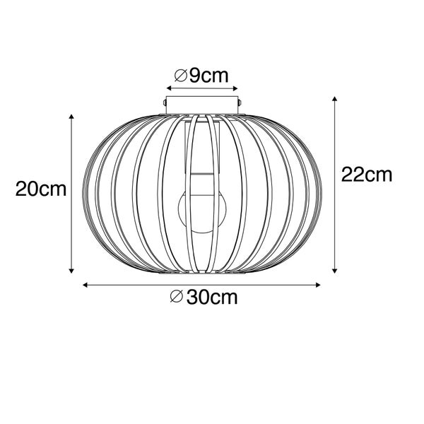 Technische Zeichnung einer Deckenleuchte mit den Maßen 20 mal 30 Zentimeter
