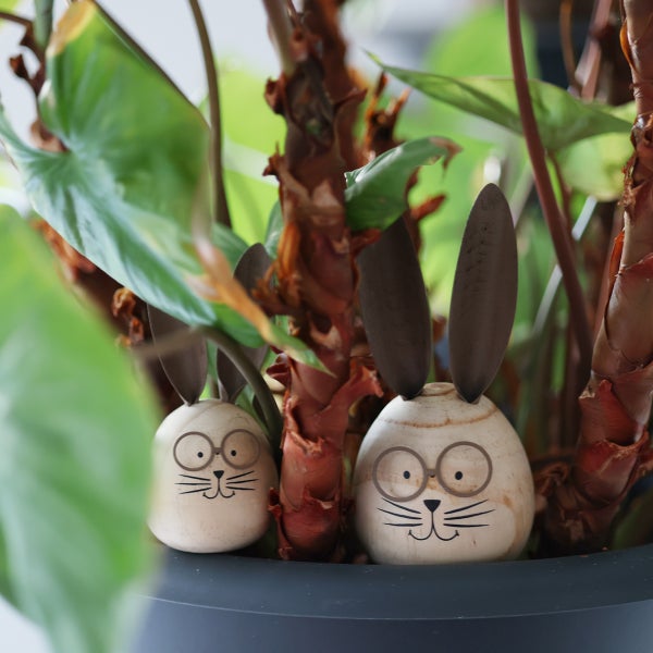 Dekorative Osterhasenfiguren aus Holz mit Gesicht zwischen Zimmerpflanzen