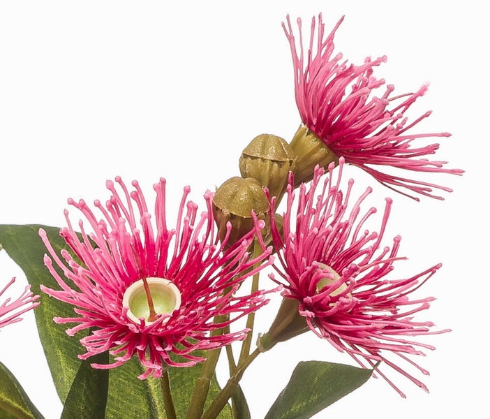 Künstlicher Eukalyptuszweig mit pinkfarbenen Blüten, Knospen und grünen Blättern