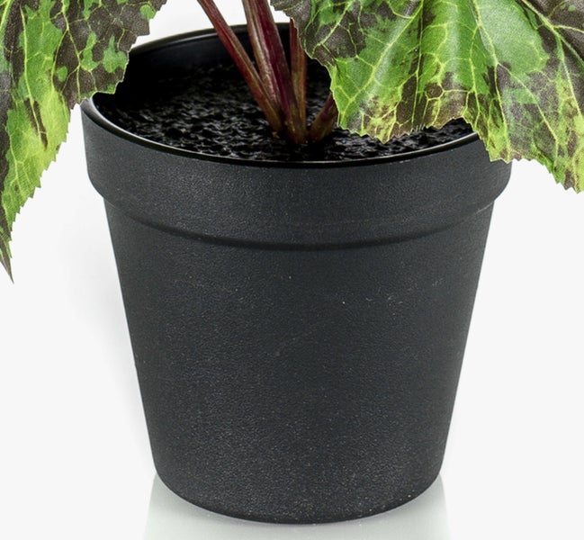 Künstliche Calathea-Blätter mit charakteristischen hellgrünen Streifen und dünnen Stielen.