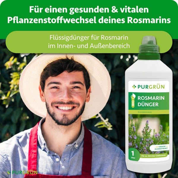 Infografik zu Purgrün Pflanzendünger: Vorteile von Vinasse, Algenextrakt und Kalium für Blätter, Wurzeln und Wasserhaushalt. Purgrün Logo.