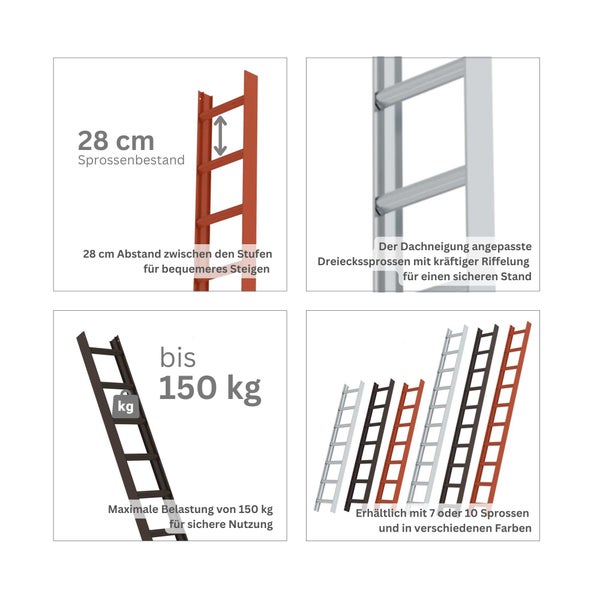 PROREGAL Dachleiter Alu Natur 7 Sprossen