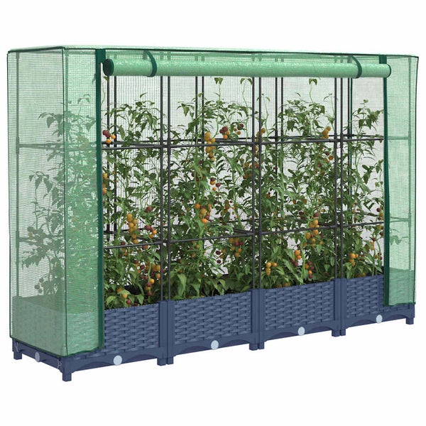 Tomatengewächshaus mit blauem Hochbeet in Flechtoptik, grünem Netzcover und integriertem Rankgitter für Tomatenpflanzen.