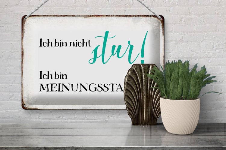 Blechschild Spruch 30x20cm bin nicht stur meinungsstabil