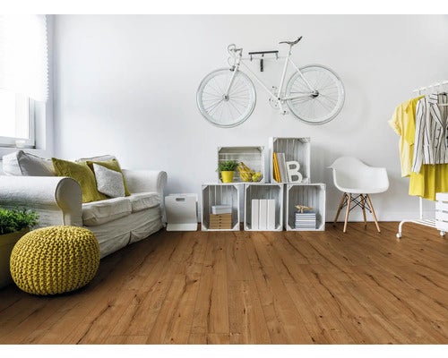 Wohnzimmer mit Laminatboden, Sofa, Fahrrad und Dekoration