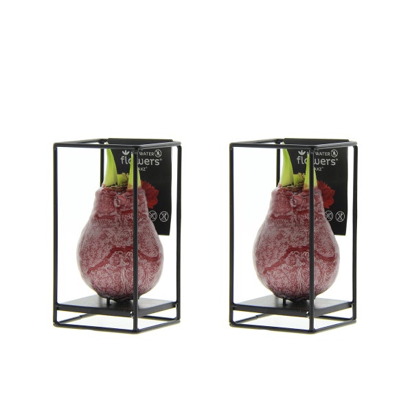 Duschablage mit zwei Haken zur Trocknung und Aufbewahrung in der Dusche.