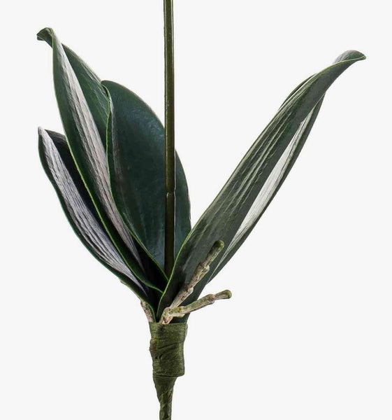 Nahaufnahme von grünen Blättern einer künstlichen Ficus-Pflanze mit sichtbaren Ästen.