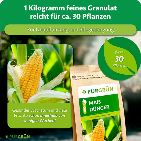 PURGRÜN Mais Dünger in Granulatform für etwa 30 Pflanzen, geeignet für Neupflanzung und Pflegedüngung im ökologischen Landbau.