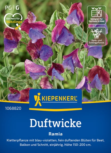 Kiepenkerl Duftwicke Ramia Samen für einjährige Kletterpflanze mit blau-violetten Blüten für Beet, Balkon und Schnittblumen.